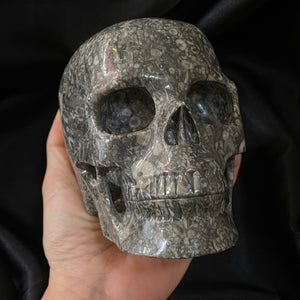 Extra Large Gemstone Skull.