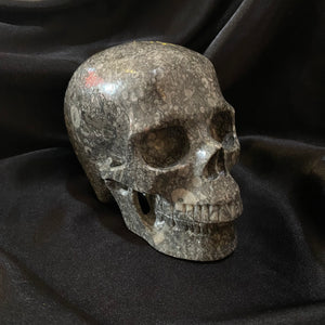 Extra Large Gemstone Skull.